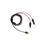 I18n Error: Missing interpolation value "ImageAlt" for "Carica immagine in Galleria Viewer, {{ ImageAlt }}"
