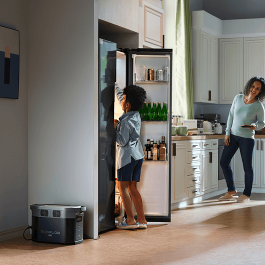 Power Station Portatile EcoFlow DELTA 2 Max Portable Power EcoFlow Europe