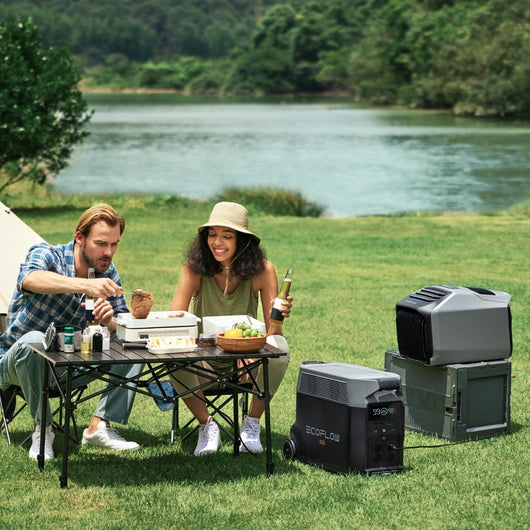 EcoFlow WAVE 2 + EcoFlow DELTA Pro  EcoFlow Italia