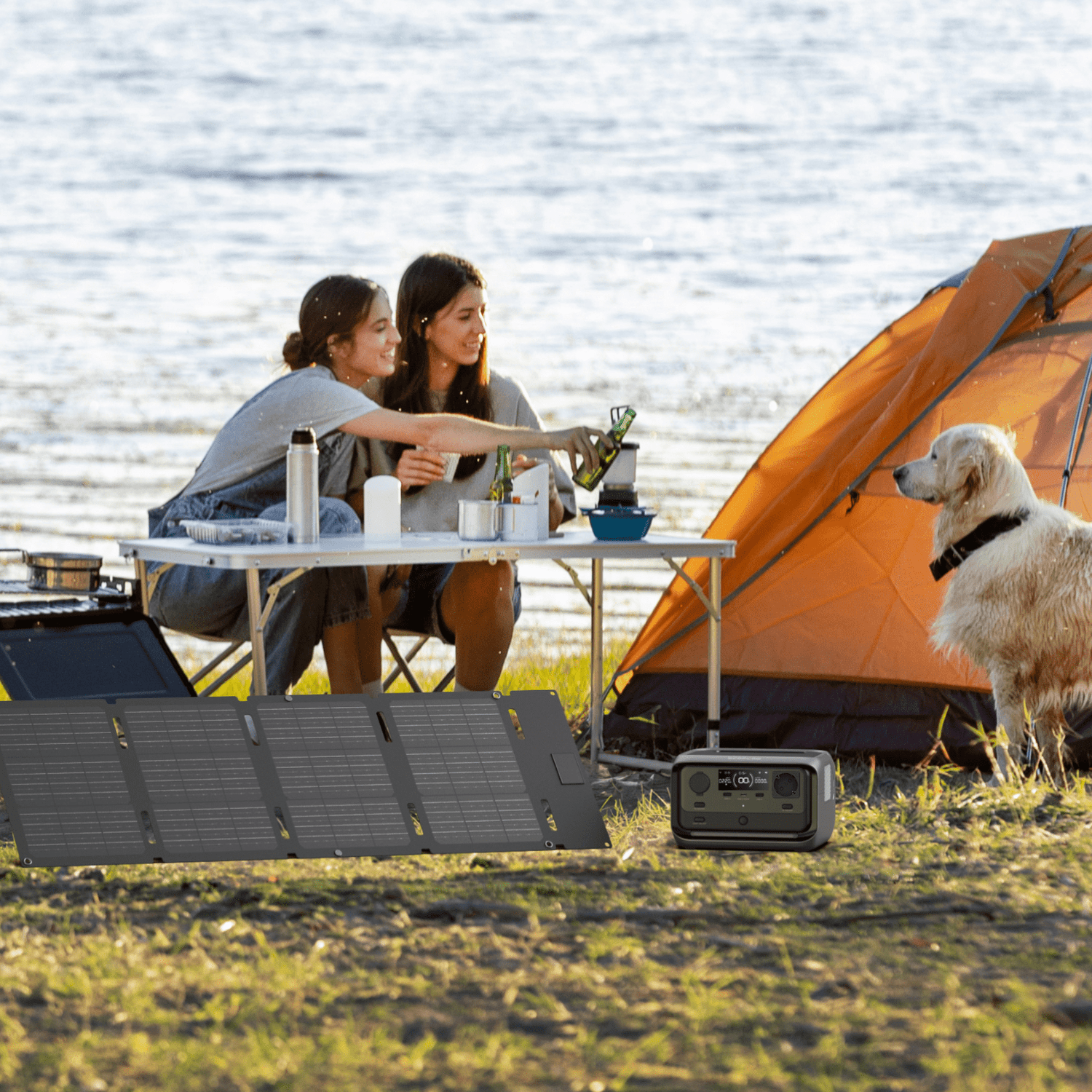 I18n Error: Missing interpolation value "ImageAlt" for "Carica immagine in Galleria Viewer, {{ ImageAlt }}"