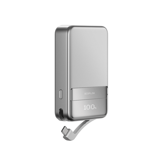 Power bank magnetica EcoFlow RAPID -10.000mAh(100% Off) Power Bank EcoFlow Italia RAPID 10.000 mAh Argento