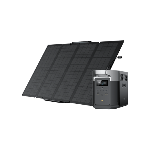 Generatore solare EcoFlow DELTA Max (FV 160 W） Bundles EcoFlow DELTA Max 1600 1 