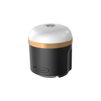Lampada da campeggio EcoFlow Accessories EcoFlow Europe