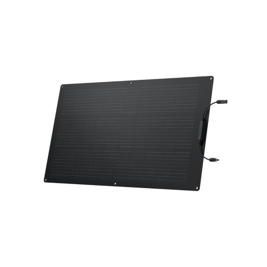 Pannello solare flessibile da 100 W EcoFlow  EcoFlow   