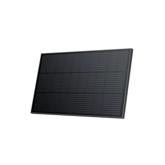 Pannello solare rigido da 100 W EcoFlow (2 pz.)  EcoFlow   