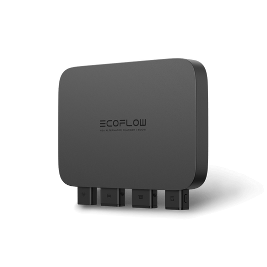 Caricabatterie per alternatore EcoFlow da 500 W EcoFlow Italia
