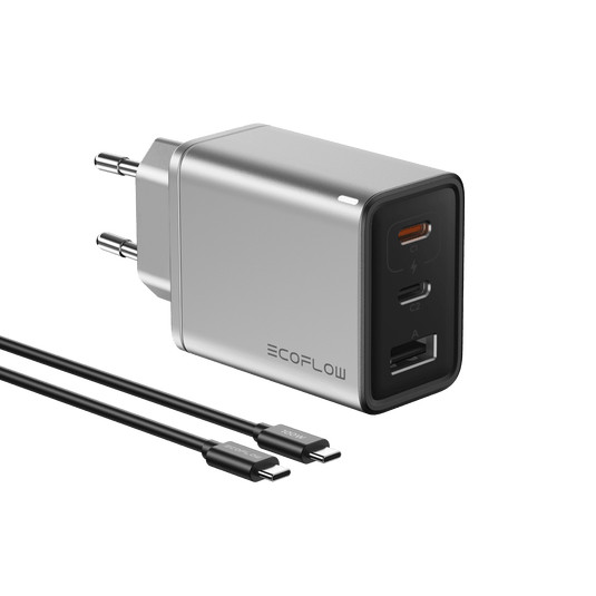 Caricabatterie RAPIDO EcoFlow da 65 W al nitruro di gallio con cavo da 100 W  EcoFlow Europe   