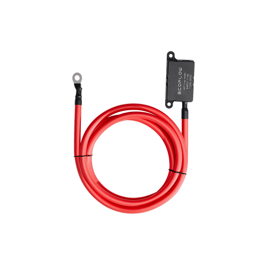 Cavo fusibile esteso per Caricatore per alternatore EcoFlow (2 m) EcoFlow Italia
