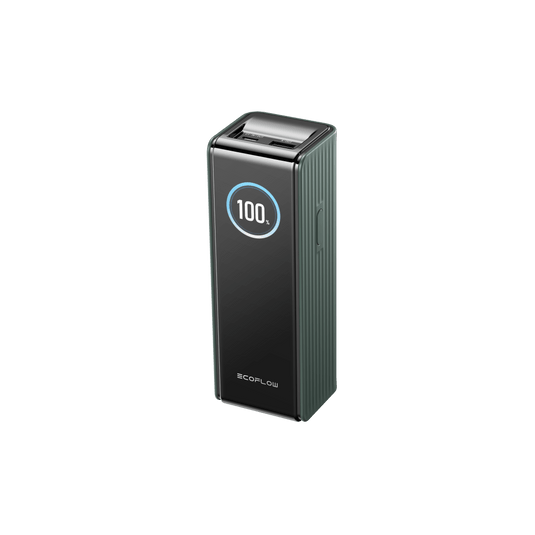 EcoFlow RAPID 25000mAh Power Bank in Verde Power Bank EcoFlow Italia Verde