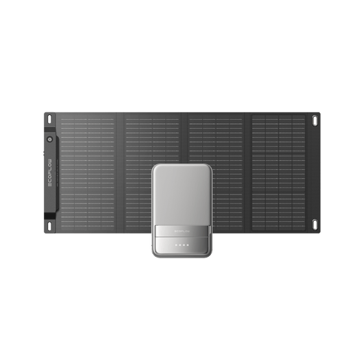 Pannello solare portatile da 28 W EcoFlow EcoFlow Europe Pannello solare portatile da 28 W + RAPID 5.000 mAh (silver)