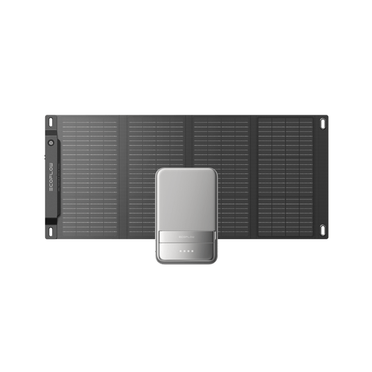 Pannello solare portatile da 28 W EcoFlow EcoFlow Europe Pannello solare portatile da 28 W + RAPID 5.000 mAh (silver)