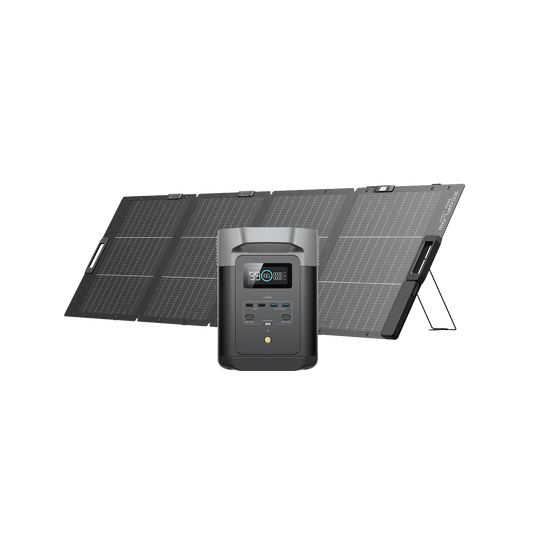 Generatore solare EcoFlow DELTA 2 (FV 220 W) Portable Power EcoFlow 1*220W + DELTA 2
