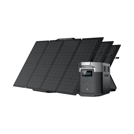 Generatore solare EcoFlow DELTA Max (FV 160 W） Bundles EcoFlow DELTA Max 1600 3 