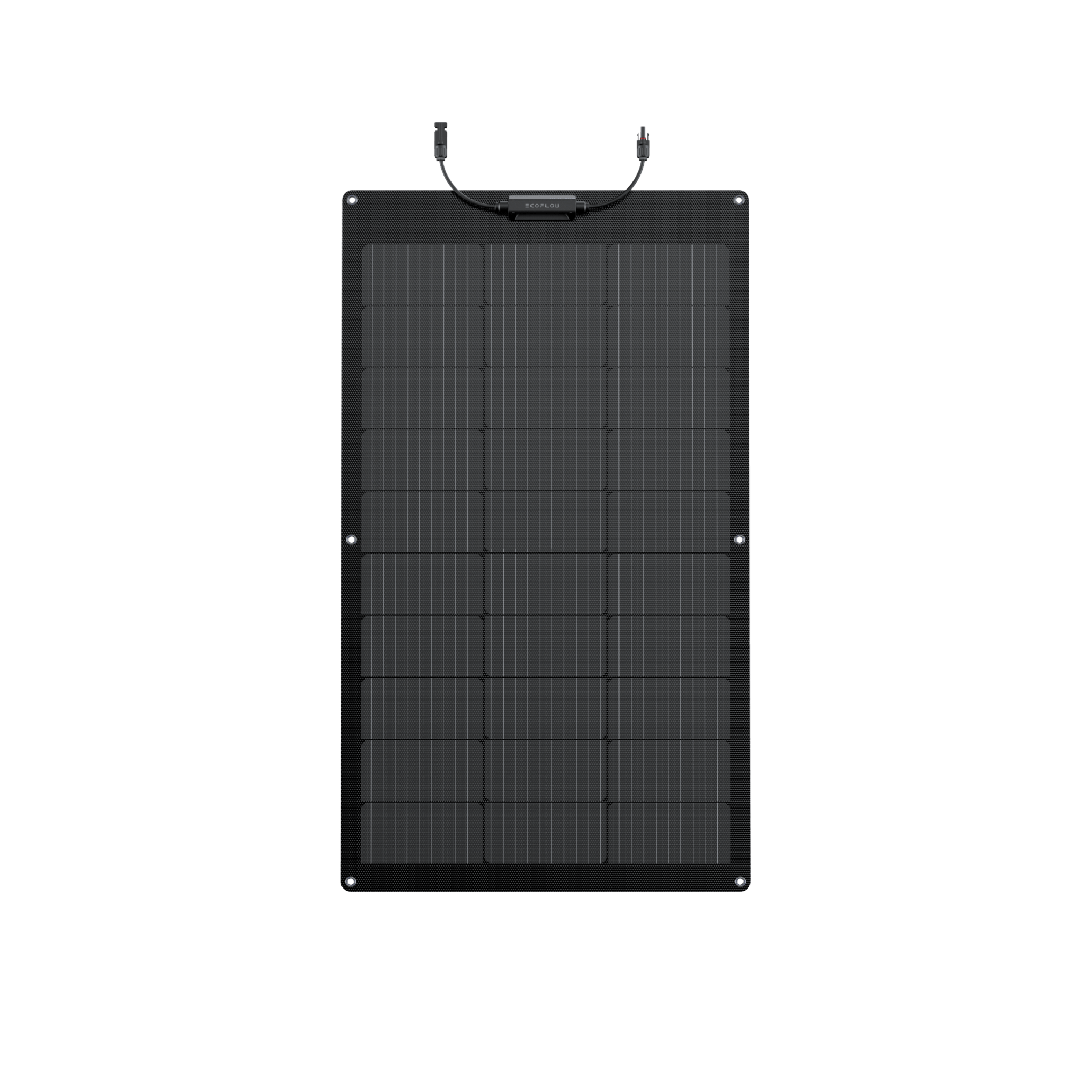 Pannello solare flessibile da 100 W EcoFlow  EcoFlow   