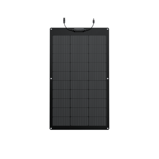 Pannello solare flessibile da 100 W EcoFlow  EcoFlow   