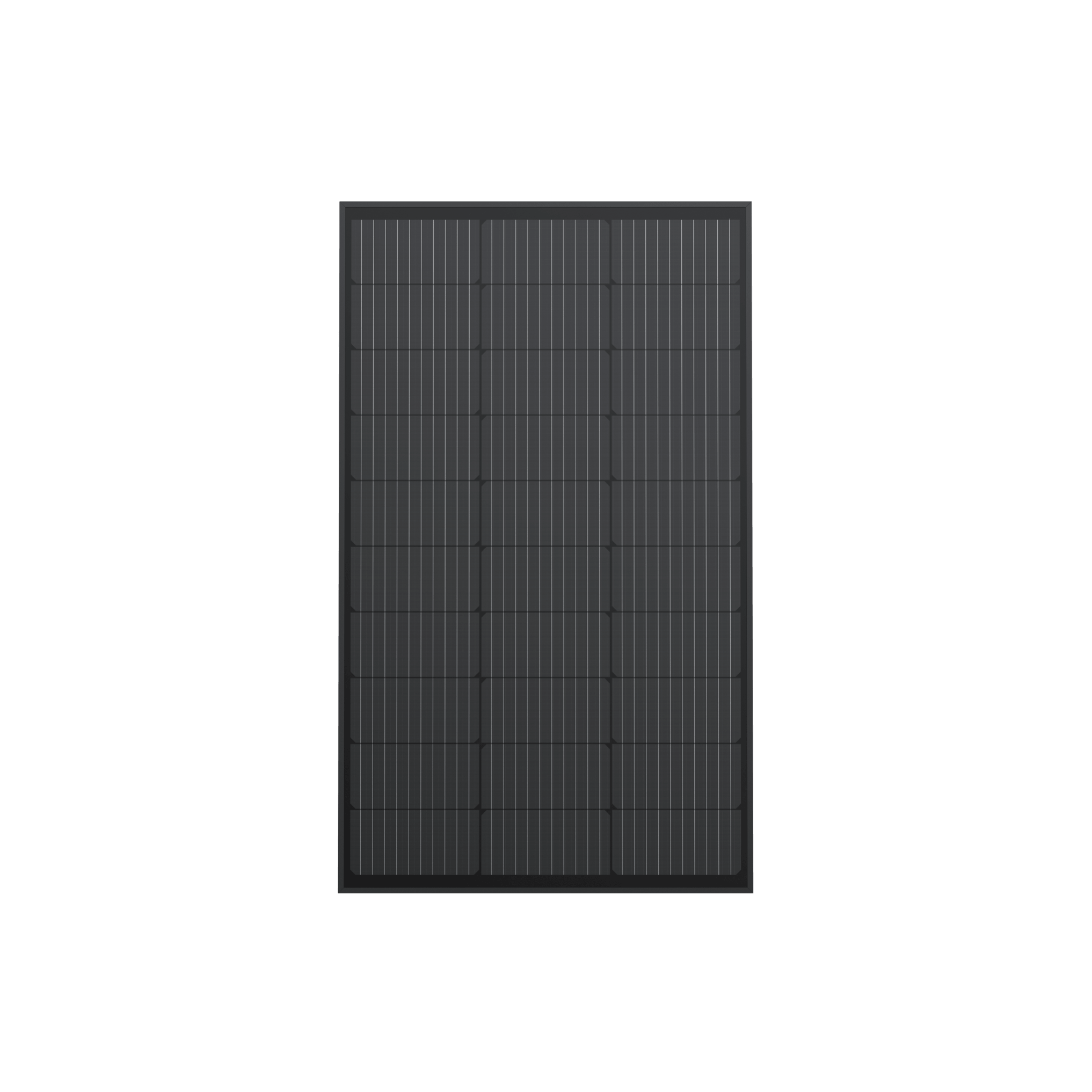 Pannello solare rigido da 100 W EcoFlow (2 pz.)  EcoFlow   