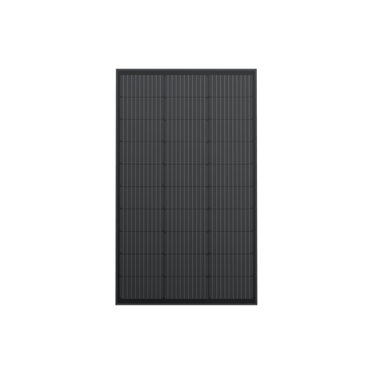 Pannello solare rigido da 100 W EcoFlow (2 pz.)  EcoFlow   