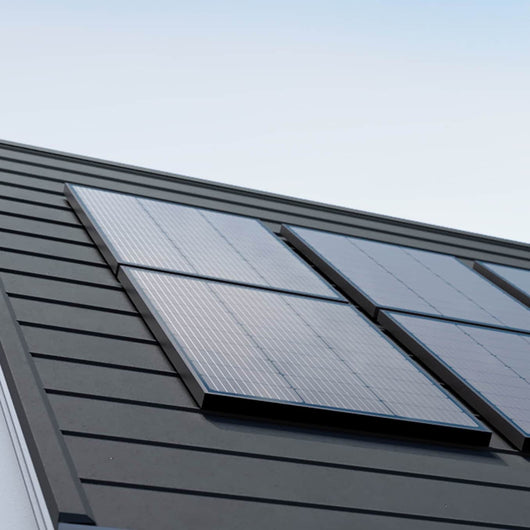 Pannello solare rigido da 100 W EcoFlow (2 pz.)  EcoFlow   